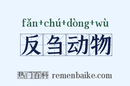 反刍动物是什么意思的图片